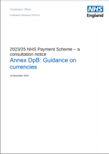 2023/25 NHS Payment Scheme – a consultation notice: Annex DpB: Guidance on currencies